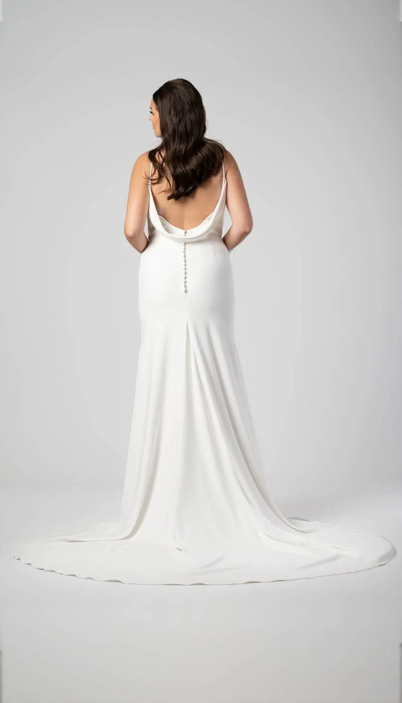 Darcy - Image 2