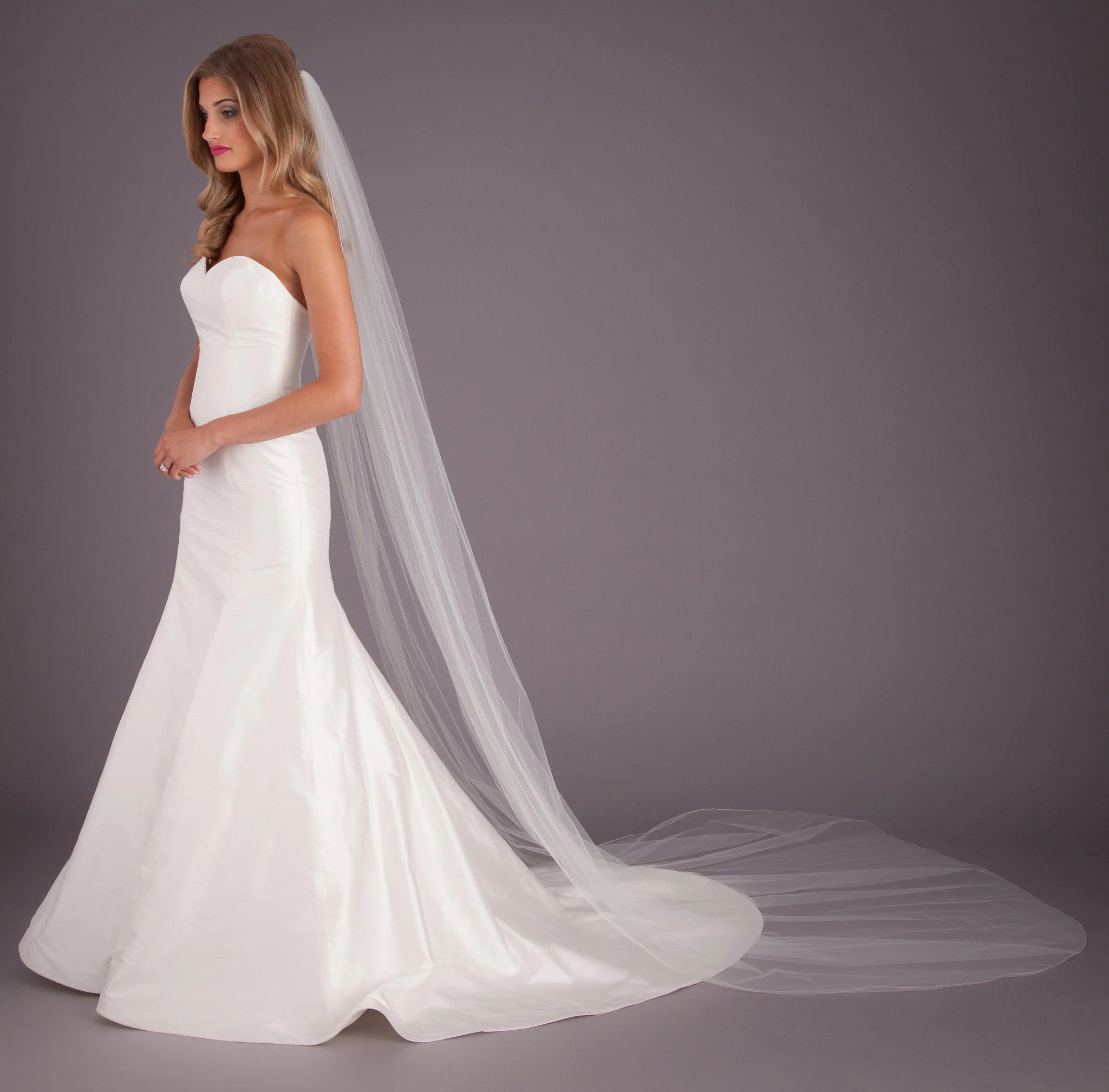 Elise Silver Edge Veil - Image 3